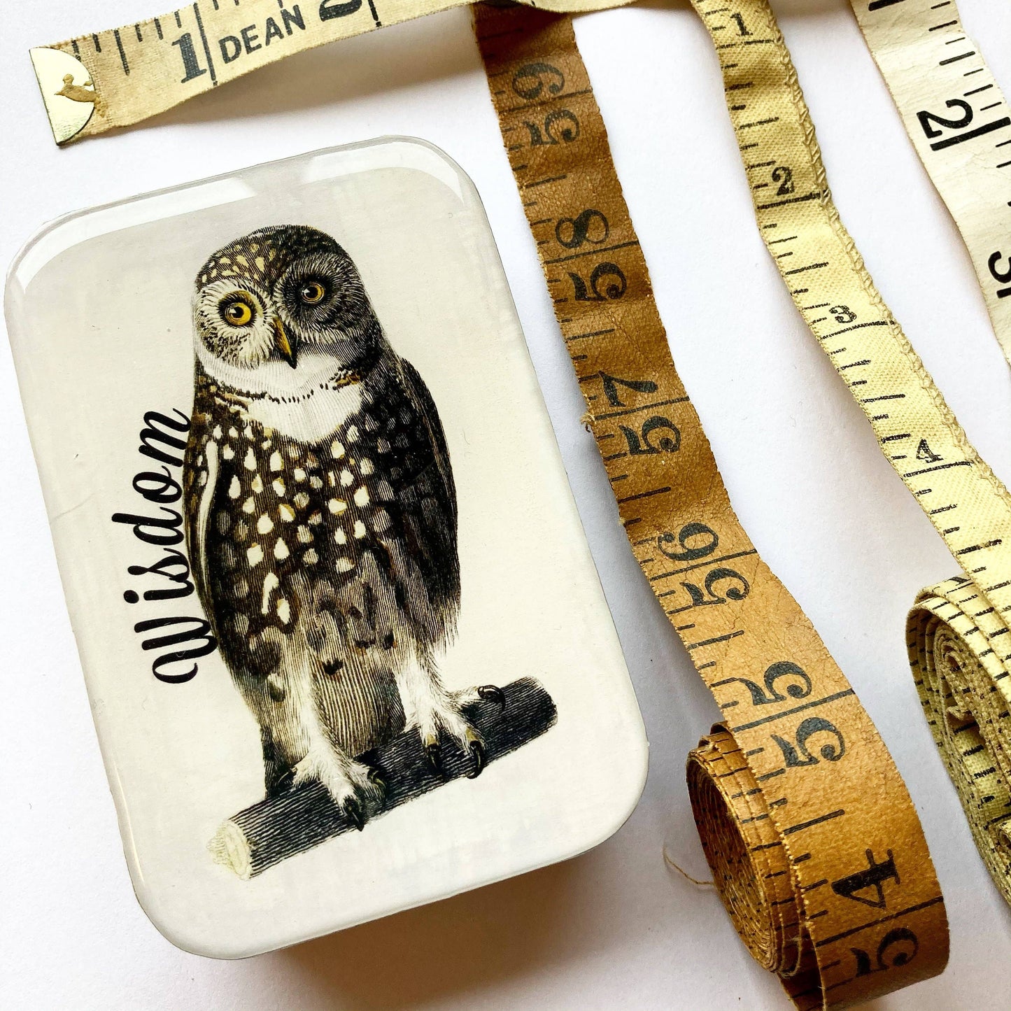 Firefly Notes - Wise Owl Notions Tin
