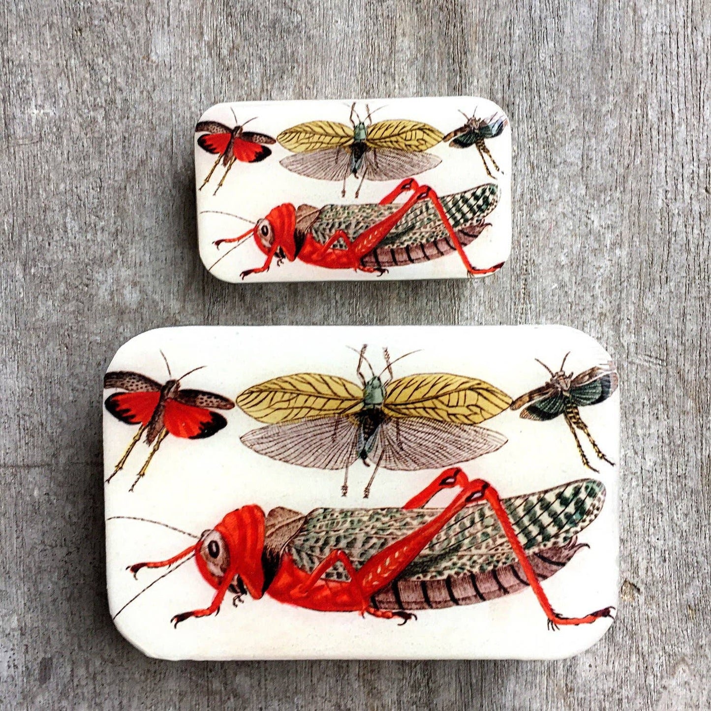 LOVermont Yarns Firefly Notes Cricket Notions Tins