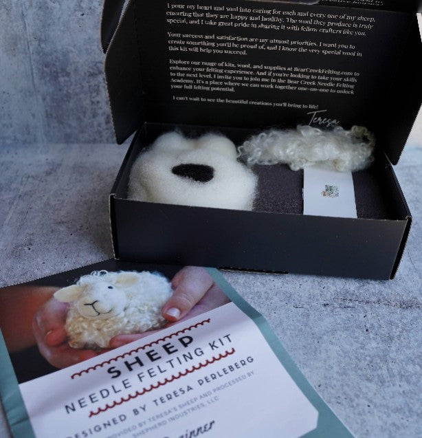 Sheep Needle Felting Kit for Beginners