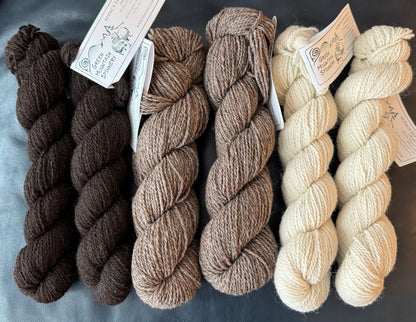 Shearing Day Shawl Kit - Alpaca Elegance Natural Colors