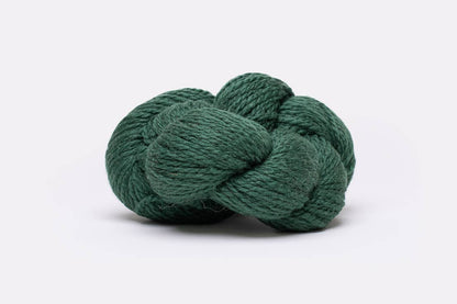 LOVermont Yarns Denali Pacarino New Pines 