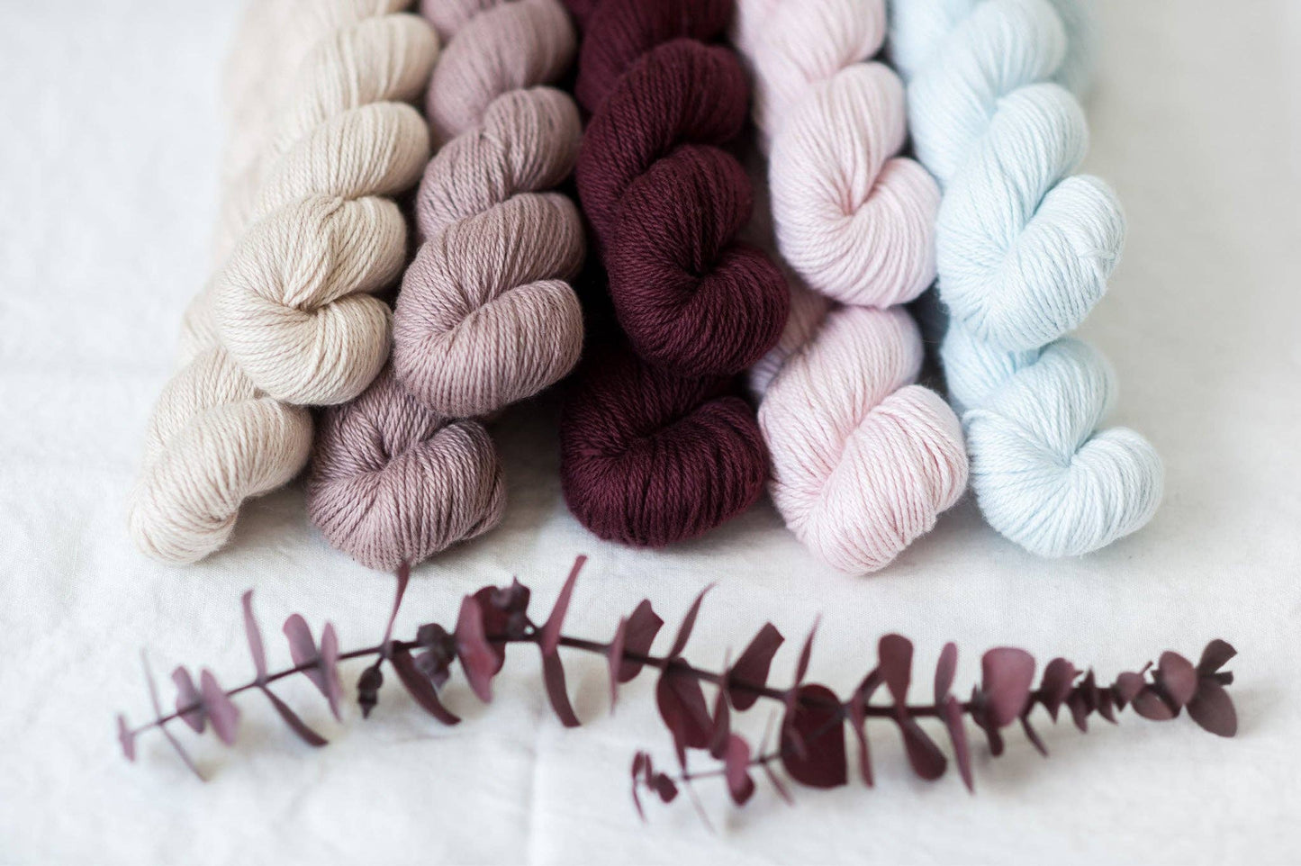 Quince & Co - Willet, Sport/DK Weight, 100% Organic Cotton